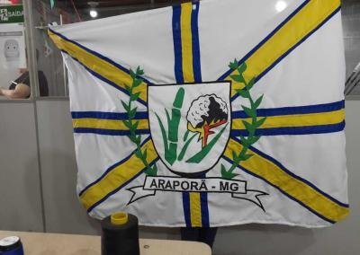 Bandeira de Arapurã-MG